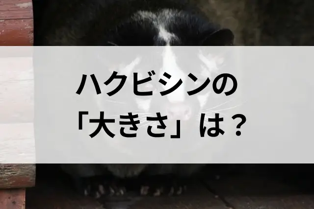 コラムサムネ