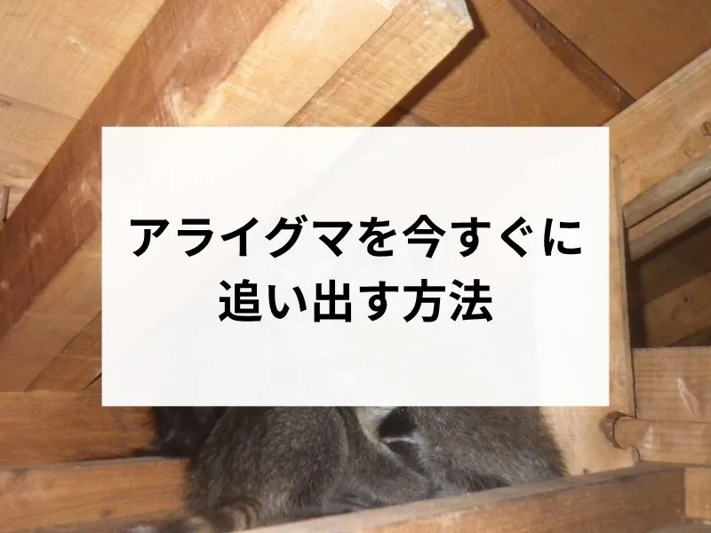 コラムサムネ