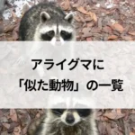 記事サムネイル