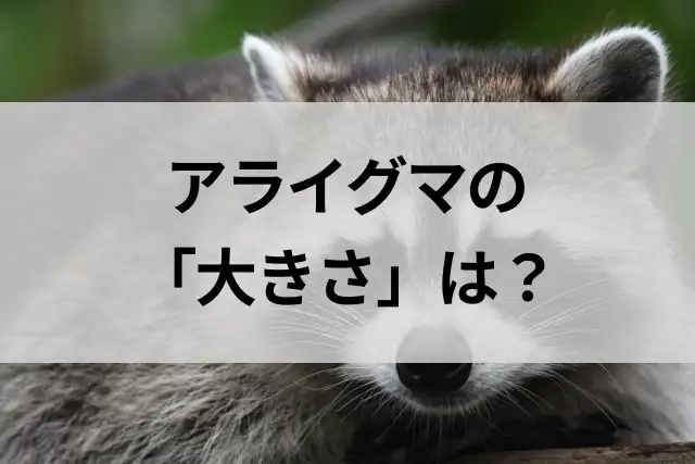 コラムサムネ