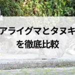 記事サムネイル